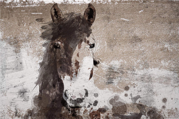 Bild "Wild Horse" by SABODesign