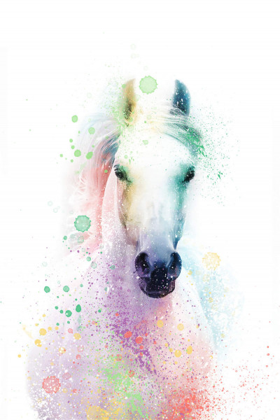 Bild "Magic Horse" by SABODesign