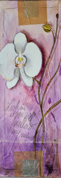 Orchidee Violett